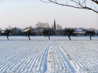 Feld bei Peißen in Winterruhe